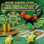 WS168 Sabung Ayam: Trik Menang Taruhan dengan Modal Kecil